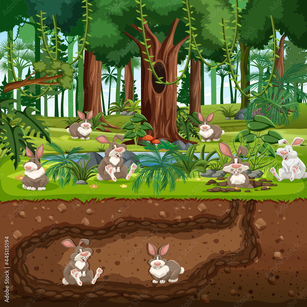Obraz premium Underground animal burrow with rabbit family