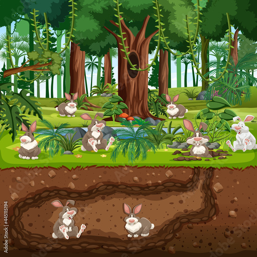 Underground animal burrow with rabbit family