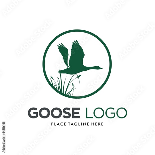 Goose Swan Duck Mallard Logo Design Vector Image