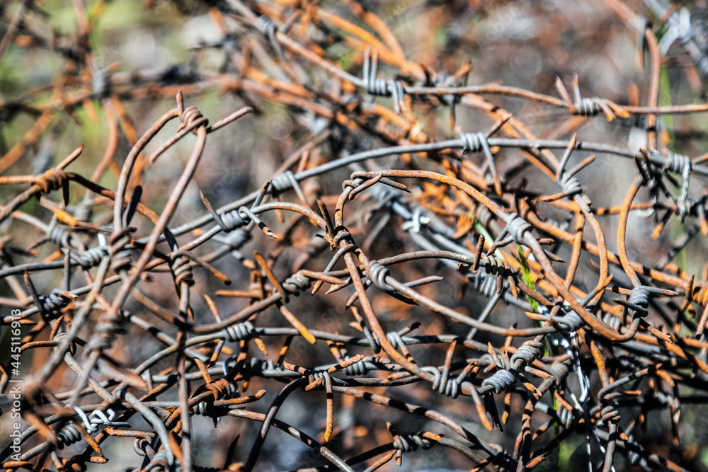an old rusty barbed wire wound chaotically in a tangle an old rusty barbed wire wound chaotically in a tangle
