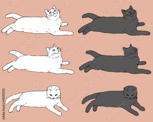 寝そべって獲物を狙う猫_リアル調01-線画