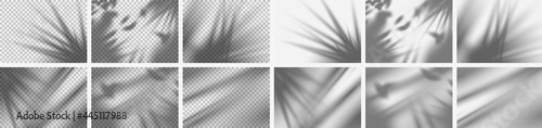 Template. Realistic set of tropical nature shadow overlays isolated on transparent and normal background for presentation. Transparent realistic shadow of tropical leaf. Vector illustration Eps10