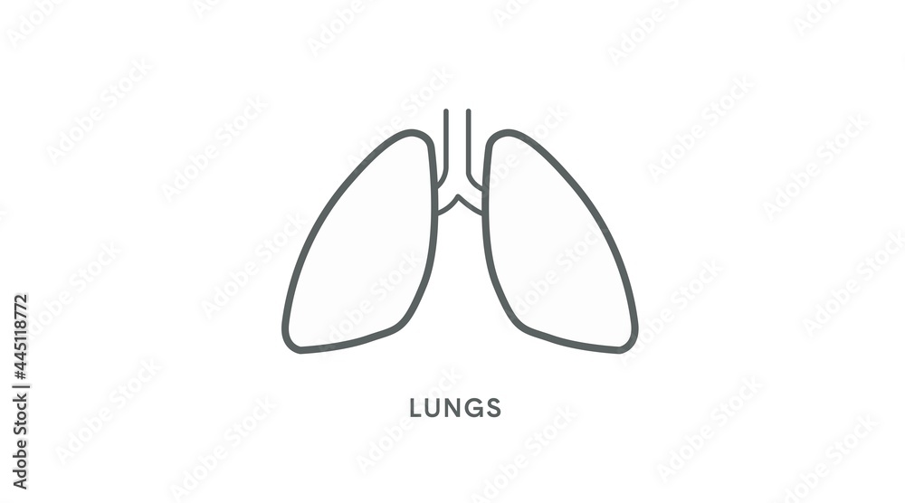 Lungs Icon. Vector isolated linear editable illustration of lungs Lungs Icon. Vector isolated linear editable illustration of lungs