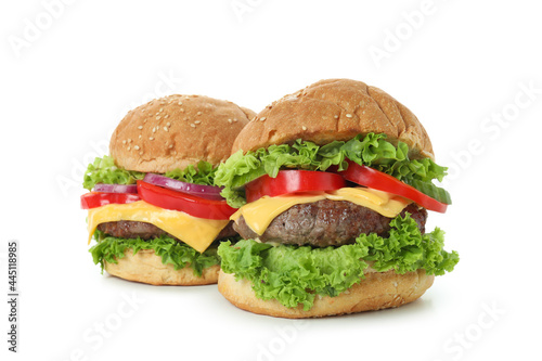Concept of tasty food with burgers isolated on white background