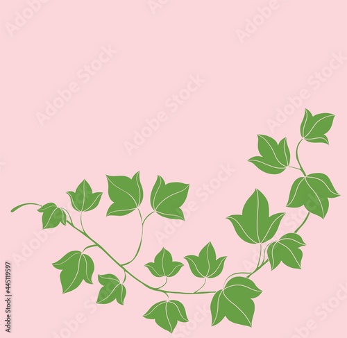 Simplicity ivy freehand drawing flat design.