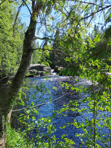 A picturesque waterfall on the Tokhmayoki River in Karelia surrounded by trees on a clear summer morning. photo