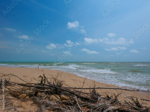 Rough waves, dead leaves and branches in a sandy beach (Nam Khem, Phang Nga, Thailand) photo