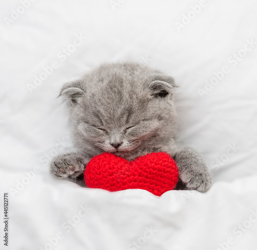 Tiny kitten sleeps on a bed under warm white blanket and holds re heart. Valentines day concept. Top down view