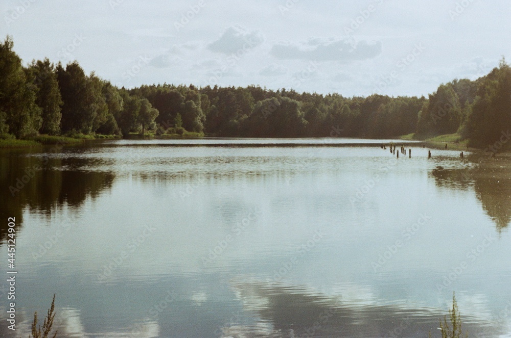 lake in the forest lake in the forest