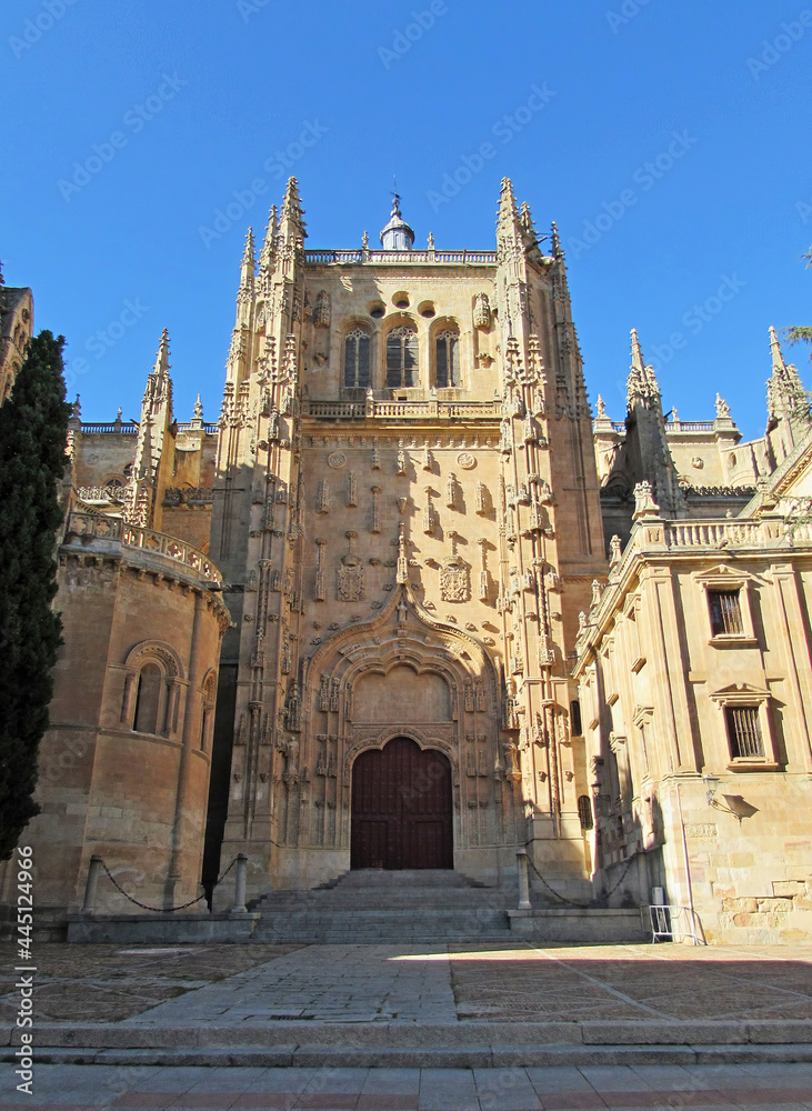 Front view of the main gate of the Cathedral of Salamanca at Patio Chico street.