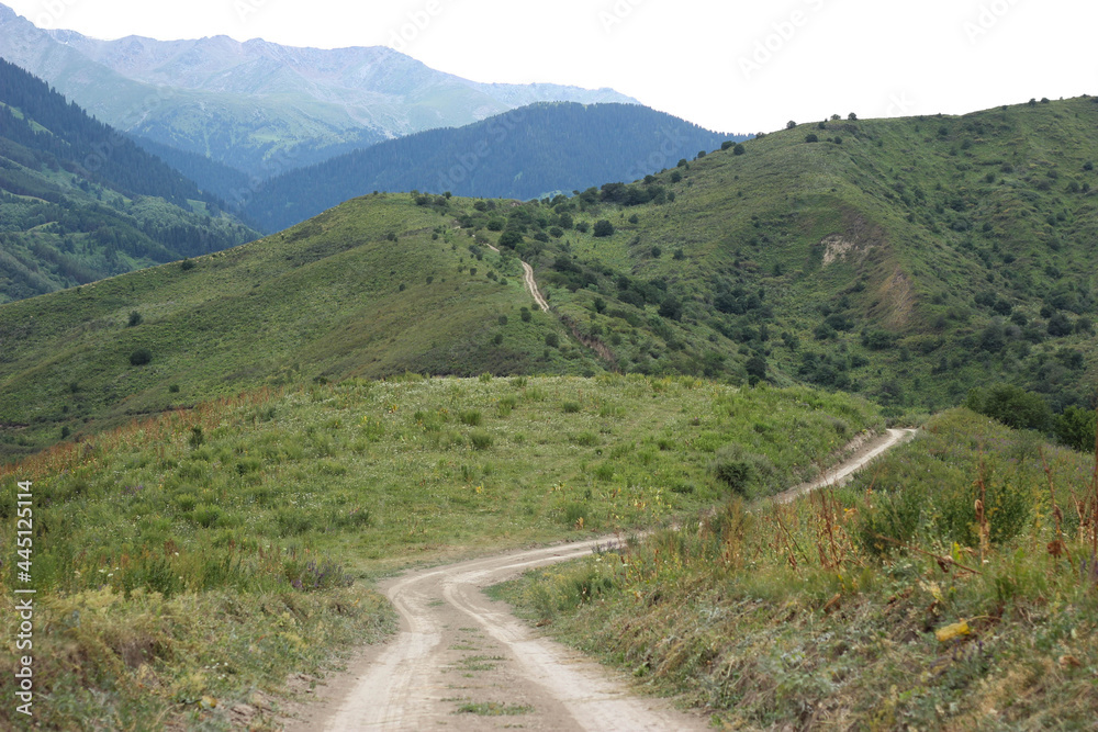 Fototapeta premium Long road leading to the mountains