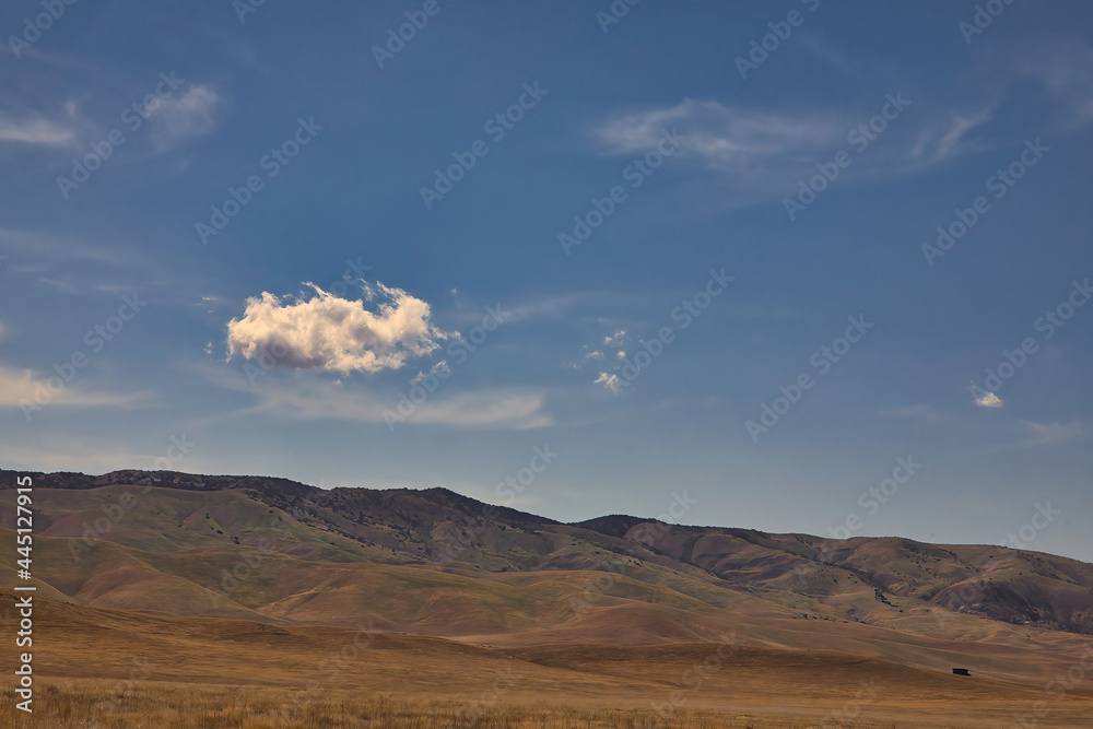 Fototapeta premium Exploring the Carrizo Plain National Monument