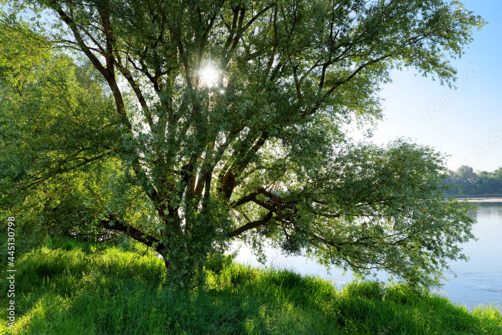 Obraz premium Loire river bank in Meung-sur-Loire village