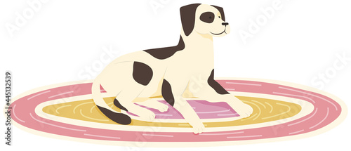 Cute spotted dog lying on rug. Thoroughbred or yard puppy isolated on white background. Puppy with black and white spots lies on soft carpet on floor. Dog, pet cute animal vector illustration