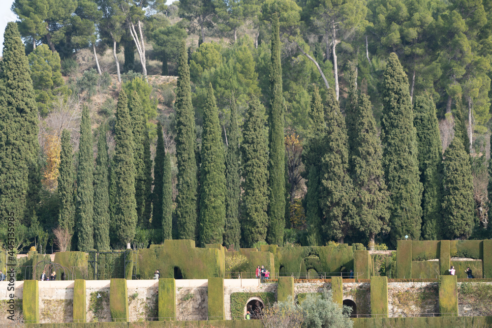 Garden at the Alhambra palace