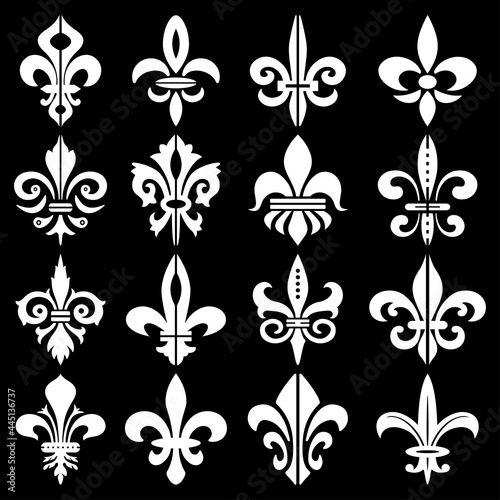 White Royal Lily Vector Collection