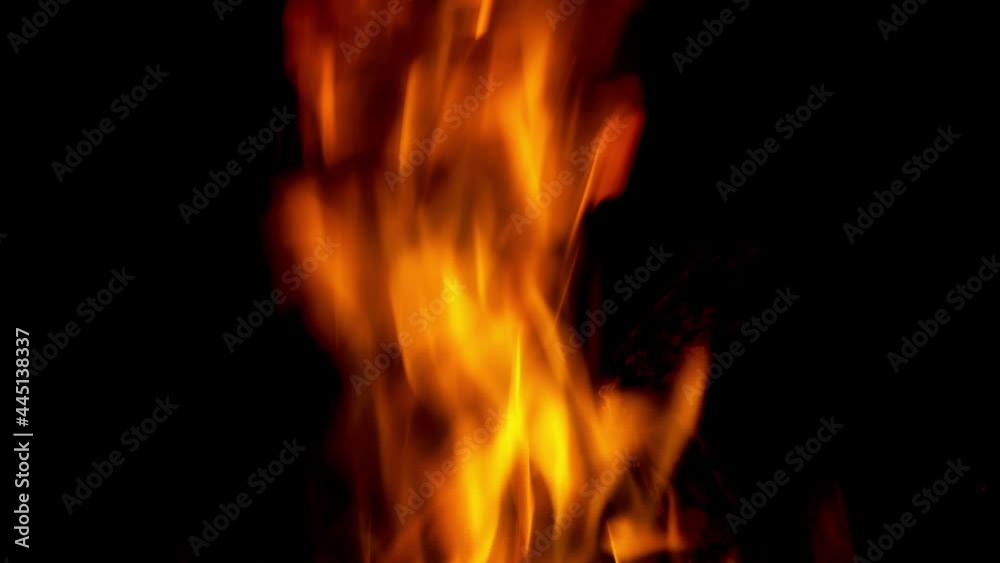 Burning campfireon black background. Night bonfire. Burning campfireon black background. Night bonfire.