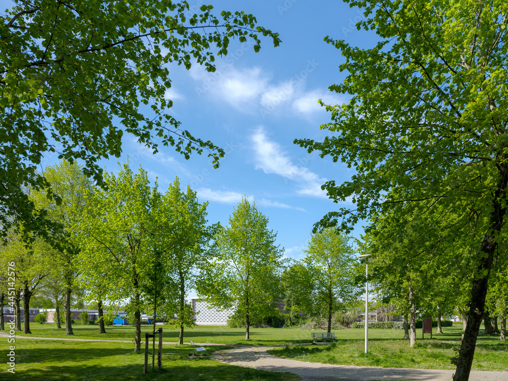 Nagele, Flevoland Province, The Netherlands