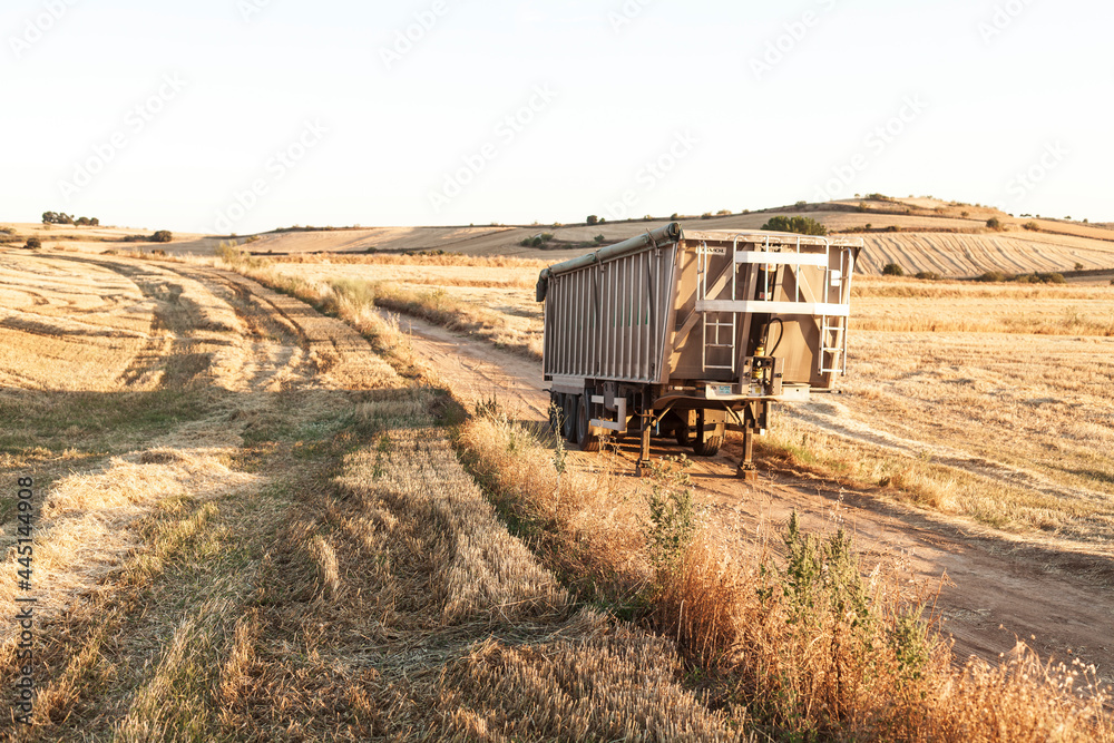 Fototapeta premium Harvest time 2021