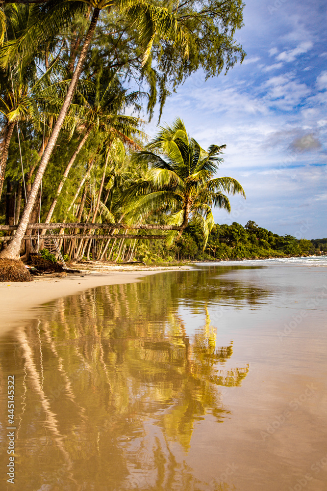 Obraz premium Klong Chao beach and its Double Palm Trees in koh Kood, Trat, Thailand