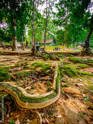 Sai Yok Yai in Sai Yok national park, in Kanchanaburi, Thailand photo