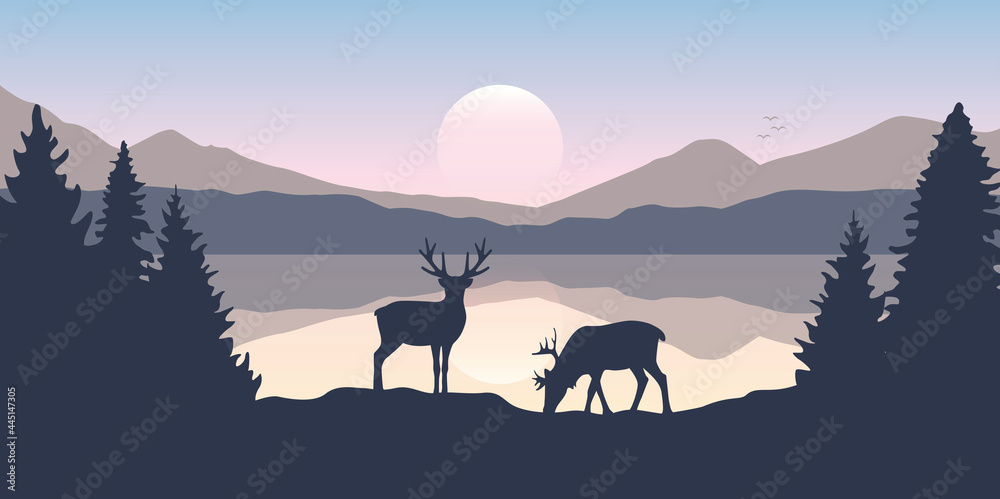 two moose in wildlife at beautiful lake in the mountains