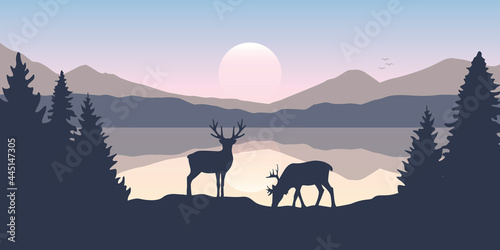 two moose in wildlife at beautiful lake in the mountains © krissikunterbunt