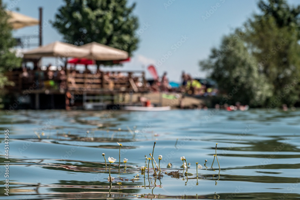 Fototapeta premium lake in the morning