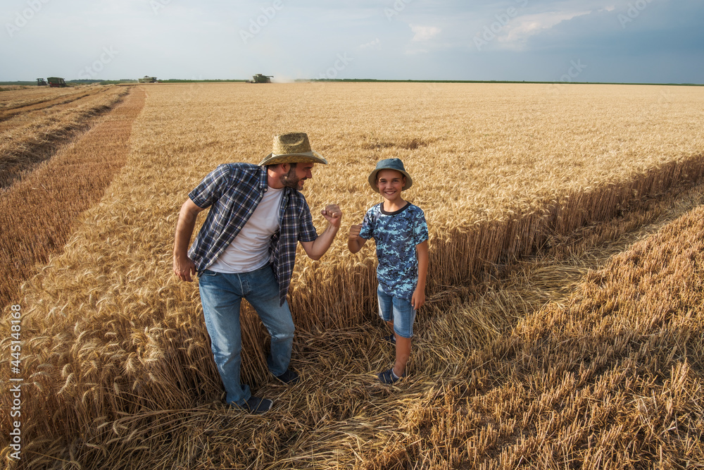 Farmers are standing in their wheat field while the harvesting is taking place. Father is teaching his son about agriculture.