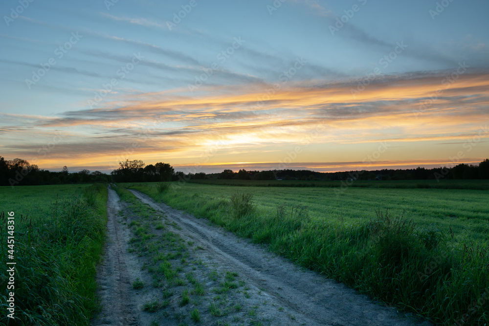 Dirt road between green fields and clouds after sunset