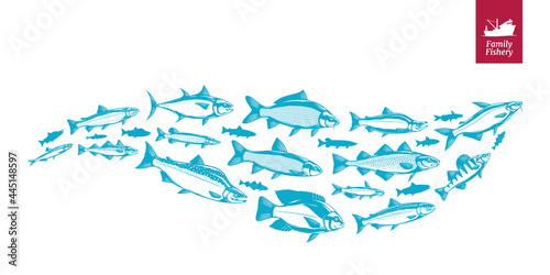 Vector fish illustration, fish flock or group, seafood banner