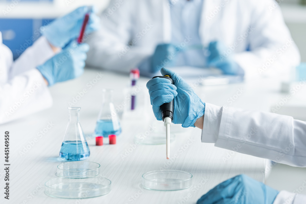 Fototapeta premium Cropped view of scientist holding electronic pipette near petri dish and flasks