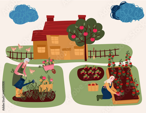 Senior Woman watering flowers. Woman cultivating garden. Aged Female hobby gardening in yard. Bed with eco tomatoes and radishes. Farmer growing plant in countryside. House in lawn with apple tree.