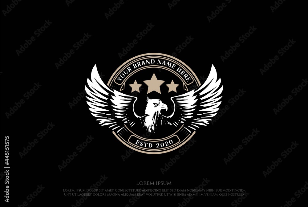 Obraz premium Vintage Retro Classic Eagle Hawk Star Logo Design