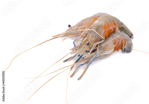 Fresh shrimp in thailand on a white background