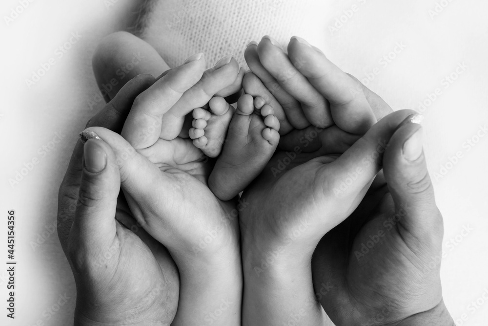 Hands of parents. The legs, feet of the newborn in the hands of mom and dad. Black and white. Hands of parents. The legs, feet of the newborn in the hands of mom and dad. Black and white.