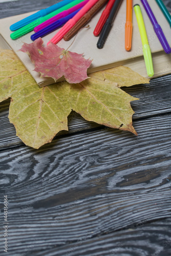 School accessories. Markers of different colors lie on pine boards. Nearby is a textbook with fallen maple leaves.