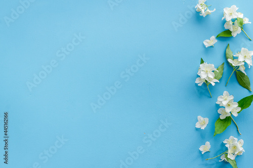 Summer flowers - jasmine with green leaves, top view