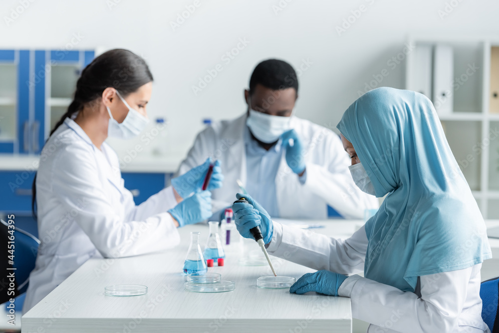 Arabian scientist in latex gloves using electronic pipette and petri dishes near colleagues Arabian scientist in latex gloves using electronic pipette and petri dishes near colleagues