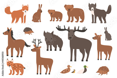 Set of cute forest animals. Cartoon isolated vector fox, wolf, bear, bear cub, elk, deer, fallow deer, hedgehog, hare, duck, duckling, lynx, horse, wild boar