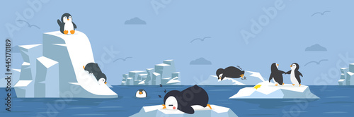 Penguins animals with arctic background