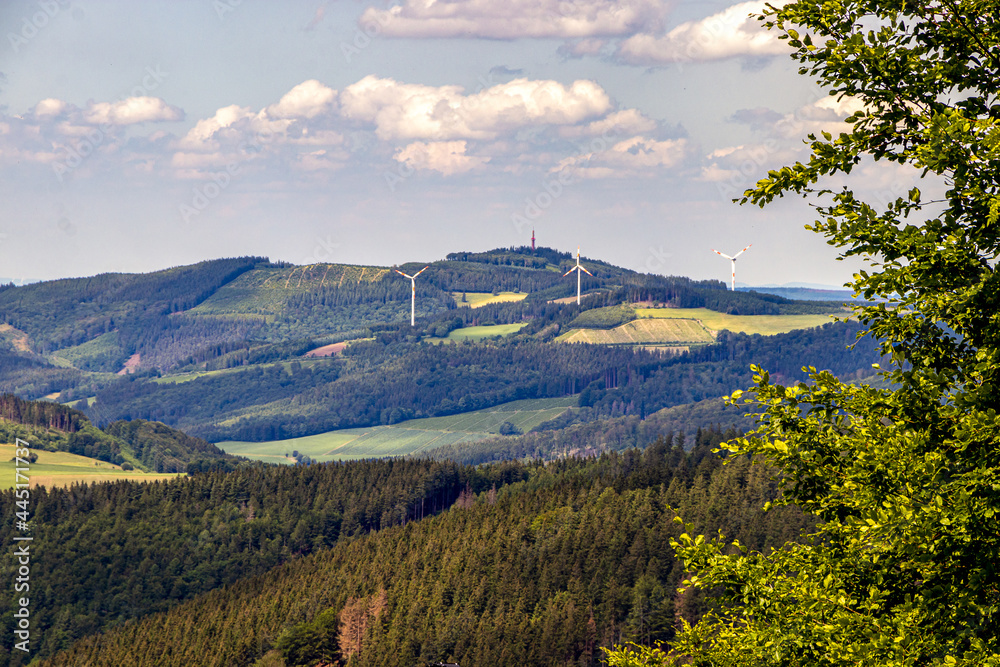 Εκτύπωση καμβά Fernsicht im Sauerland mit blauem Himmel weißen Wolken Bäumen und Blumen