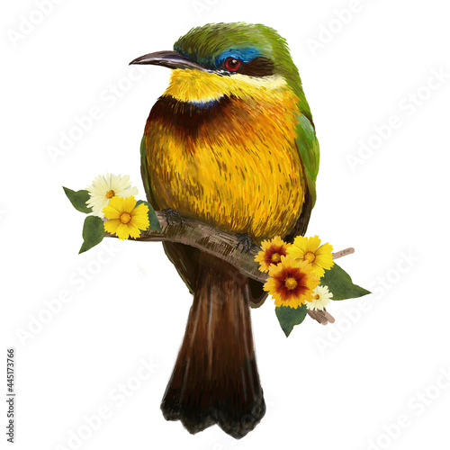 Cute little bird (bee-eater) with bouquet of yellow flowers sitting on the branch hand painted illustration isolated on white background. Card, invitation, poster and more.