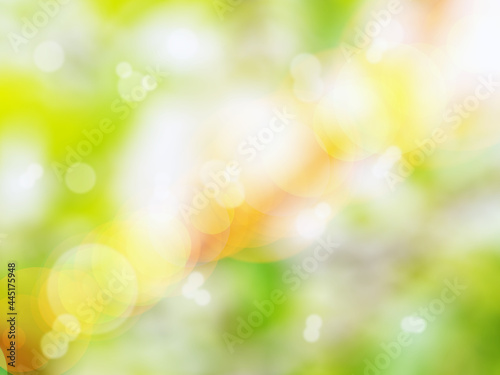 Abstract green tree growth background in blurred bokeh and sunlight in pastel colors. Abstract nature background in pastel yellow and green colors. A beautiful pattern of natural bokeh in sunlight for