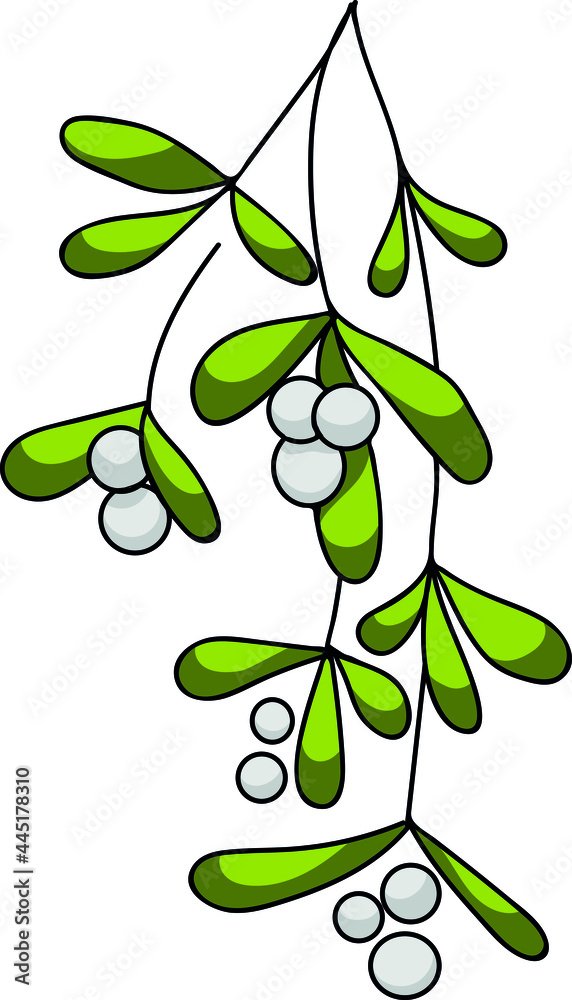 Christmas mistletoe symbol. new year gift, christmas decoration Christmas mistletoe symbol. new year gift, christmas decoration