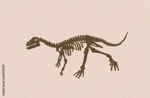 Vector vintage skeleton of raptor , graphical illustration,paleontological element	