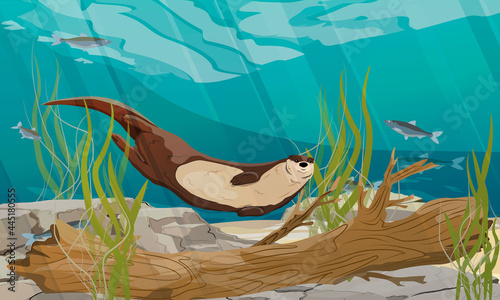 River otter swim in the river. The bottom of the pond with fish, algae and a sunken tree. Eurasian otter Lutra lutra. Wild semiaquatic mammal of Eurasia. Realistic vector landscape