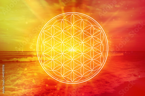 Flower of Life Symbol