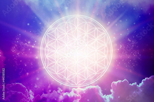 Flower of Life Symbol