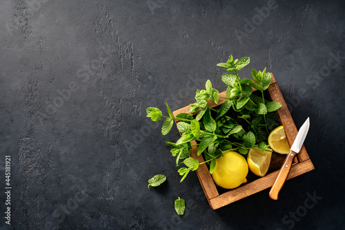 Fresh mint in wooden box on dark concrete background with lemons and knife. Top view of a bunch of mint and mint leaves. Copy space for your design.